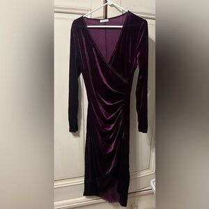 Amazon Rich Purple Velvet Long Sleeve Dress